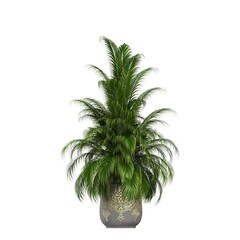 Obraz premium decorative flowers and plants for the interior, isolated on white background, 3D illustration, cg render