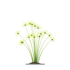 decorative flowers and plants for the interior, isolated on white background, 3D illustration, cg render