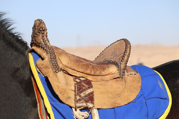Naklejka premium A traditional horse's saddle from Aswan, Egypt 