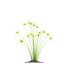 decorative flowers and plants for the interior, isolated on transparent background, 3D illustration, cg render
