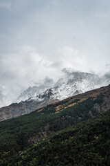 View of autumn fyellow-green forest with snow covered mountain peaks in the clouds