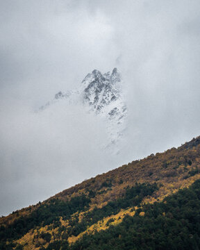 View of autumn fyellow-green forest with snow covered mountain peaks in the clouds