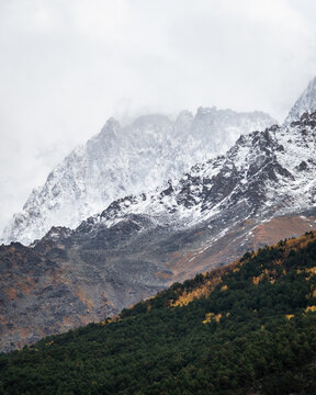 View of autumn fyellow-green forest with snow covered mountain peaks in the clouds