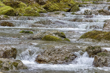 Bach mit Steinen und sprudelnden Wasser