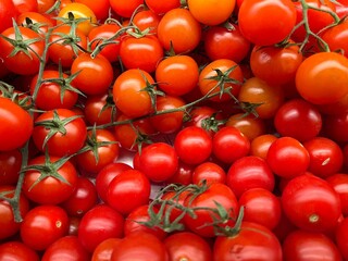 Close up of cherry tomatoes on the vine
