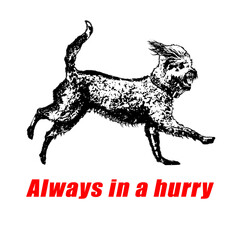 Always in a hurry phrase concept graphic