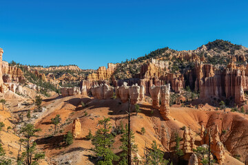Panoramic aerial view on sandstone rock formations on Navajo Rim hiking trail in Bryce Canyon National Park, Utah, UT, USA. Looking at pine tree forest and hoodoo rocks in unique natural amphitheatre