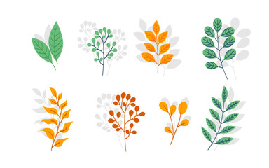 hand drawn floral decoration elements set 