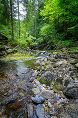 Naklejka na ściany i meble A wild stream rushes through the Bavarian Forest, carving its way through rocky terrain and providing a thriving habitat for diverse flora and fauna.