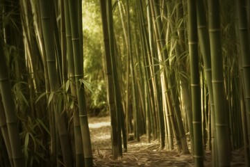 Green and lush bamboo forest background during day time, generative AI