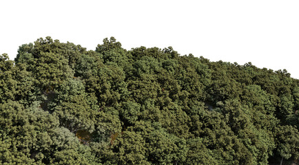 A mountain with many trees. Multiple views on a transparent background