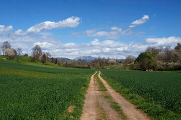 Rural landscape in Brianza near Usmate and Lomagna
