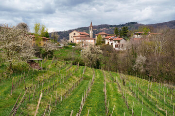 Fototapeta na wymiar Rural landscape in Brianza in the park of Curone and Montevecchia