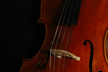 Cello strings on bridge of artisan instrument close-up.