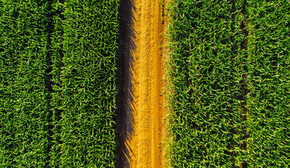 Road and agriculture drone image