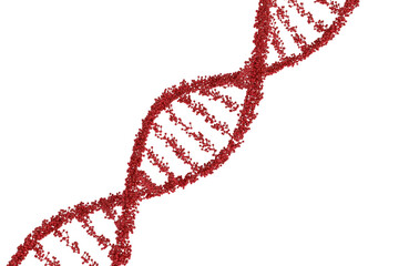 Red DNA double helix