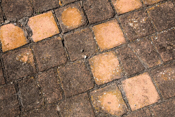 Clay floor tile typical of coffee drying patio