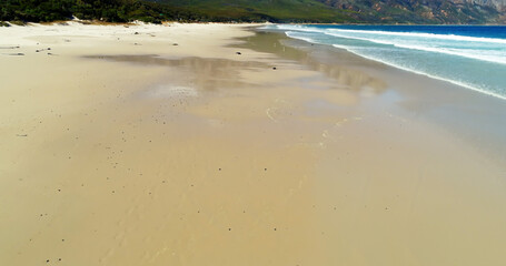 Scenic view of beach 