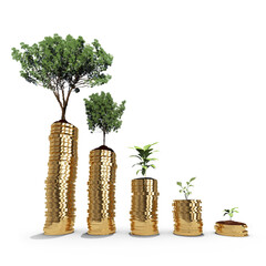Tree and plant over gold coins