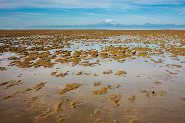 Landscape with the glacier capped volcano Mount Redoubt with a muddy tidal flat in the foreground...