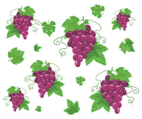 set of grapes