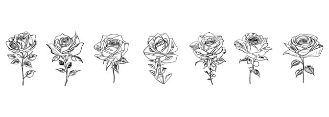 Different style Seven Roses Coloring Book showcases seven distinct roses.