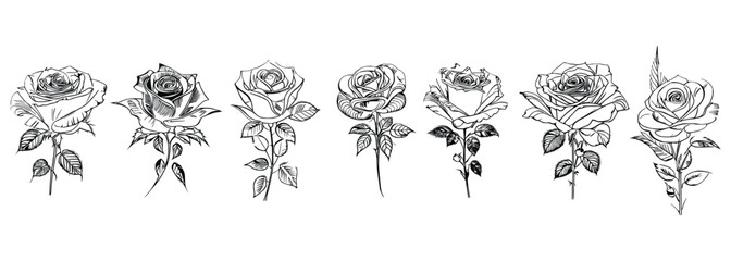 Different style Seven Roses Coloring Book showcases seven distinct roses.