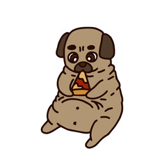 Obraz premium pug is sitting and eating pizza. Illustration isolated on white background. 