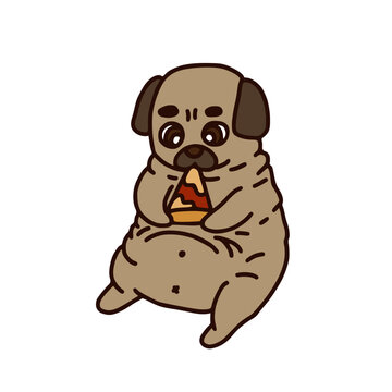  pug is sitting and eating pizza. Illustration isolated on white background.

