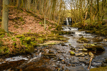 Approach to Summerhill Force, on Bow Lee Beck which runs through a ravine in Upper Teesdale near...