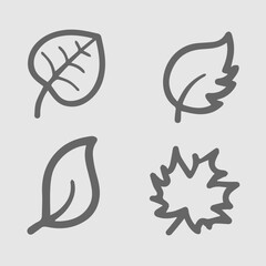 Leaf vector icon set. Autumn elements. Simple isolated illustration.