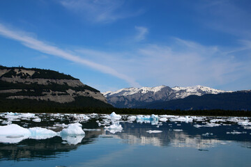 Alaska, ice in Icy Bay of the Wrangell-Saint-Elias Wilderness  
