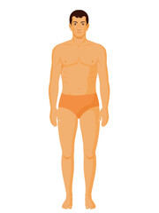 Fototapeta premium Human Front Character design, for animation, games, medical illustrations, education illustration