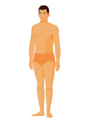 Human Front three fourth Character design, for animation, games, medical illustrations, education illustration
