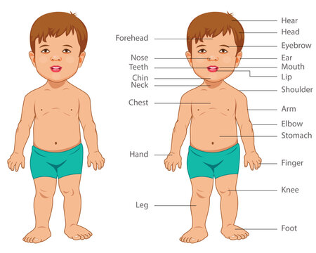 KID Body Parts, happy cute kid boy body part anatomy