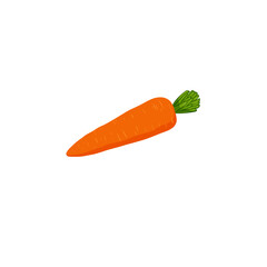 Carrot vegetable with leaves