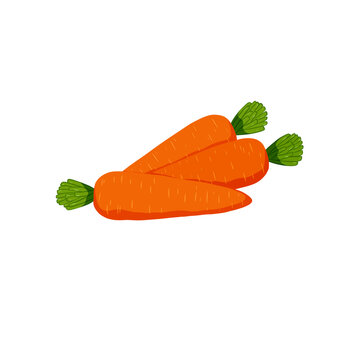 Orange carrot with leaves
