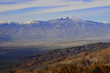 Fototapeta premium Landscape Joshua Tree National Park