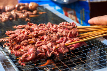 A person is grilling meat skewers in a picnic camping, delicious and tempting barbecue