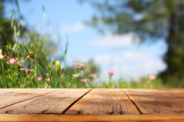 Empty rustic table in front of countryside background. product display and picnic concept