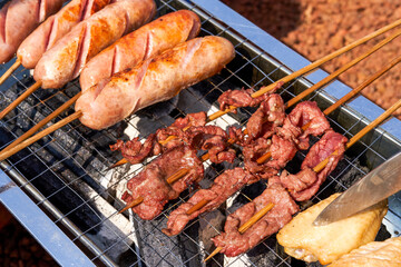 A person is grilling meat skewers in a picnic camping, delicious and tempting barbecue