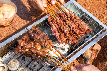 A person is grilling meat skewers in a picnic camping, delicious and tempting barbecue