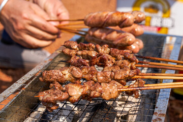 A person is grilling meat skewers in a picnic camping, delicious and tempting barbecue