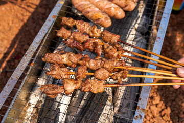 A person is grilling meat skewers in a picnic camping, delicious and tempting barbecue