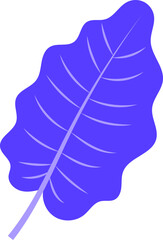 Tropical Leaf