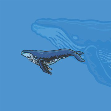 whale illustration for logo and tshirt design 03