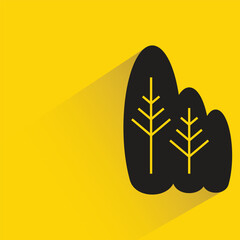 Fototapeta premium pine tree with shadow on yellow background