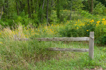 Rustic Wooden Fence In A Praire Planting