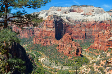Rock Formation called Angels Landing, Big Bend in the Zion Nationalpark, Utah USA - 592318101