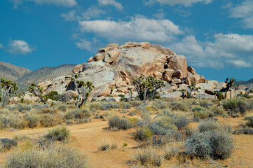 Rock Formation in the joshua tree national park, USA - 592318132